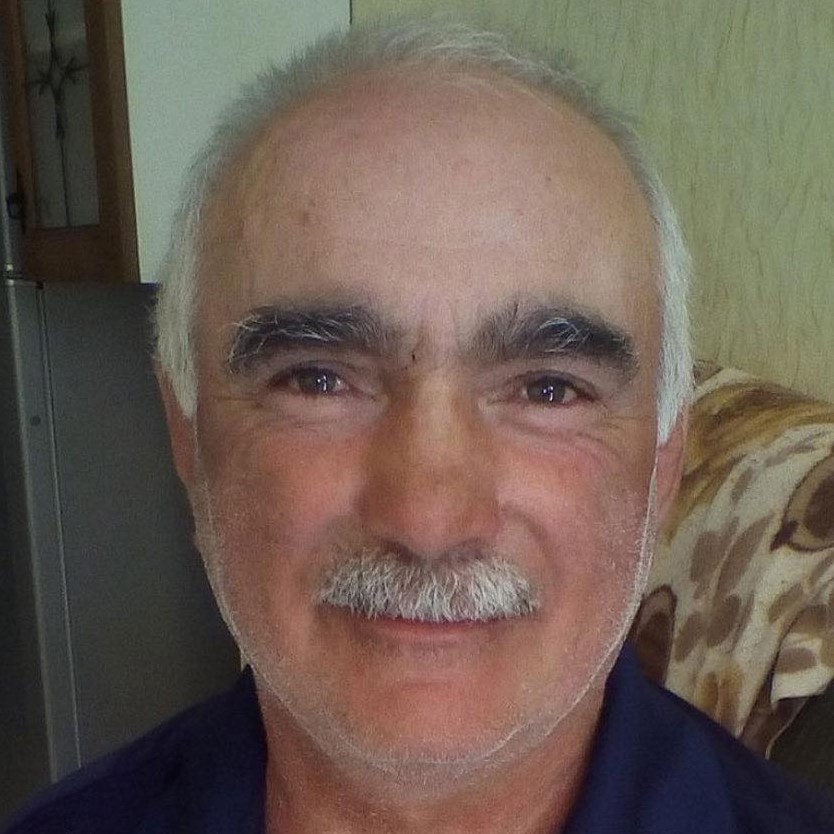 Davit Giunashvili